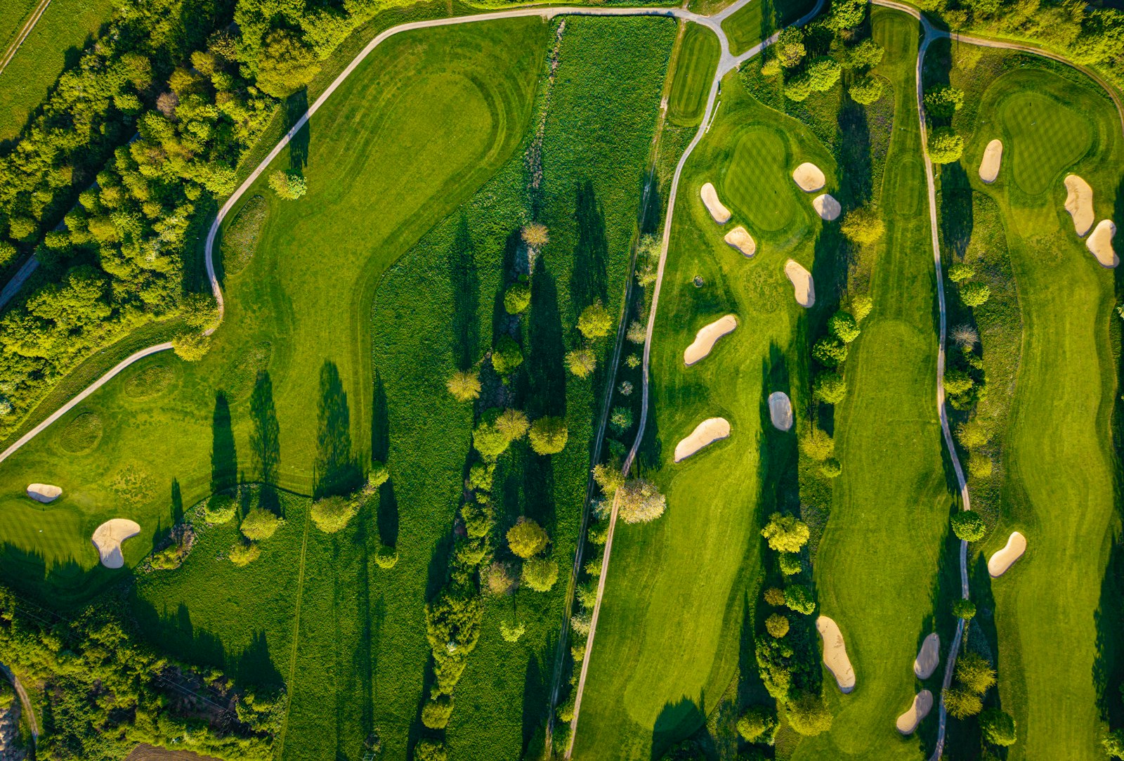 Mood Metrics Golf